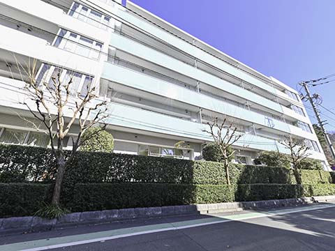 シティハウス成城ガーデンコートの写真 13枚目