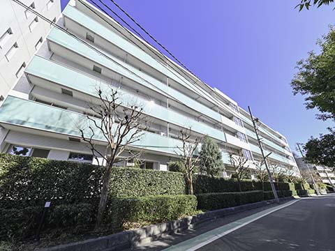 シティハウス成城ガーデンコートの写真 15枚目