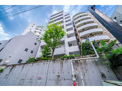 ステージファースト代々木公園の写真 13枚目