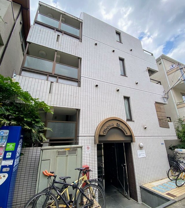 シルフィード白金のエントランス・共用部