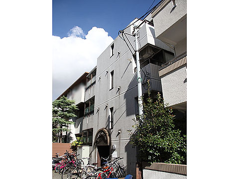 シルフィード白金の写真 6枚目