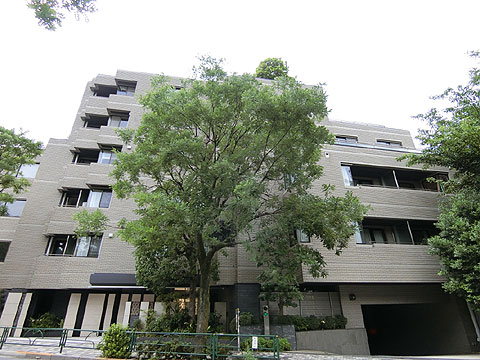 南青山豊田パークマンションの写真 6枚目