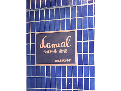 ラミアール赤坂の写真 9枚目