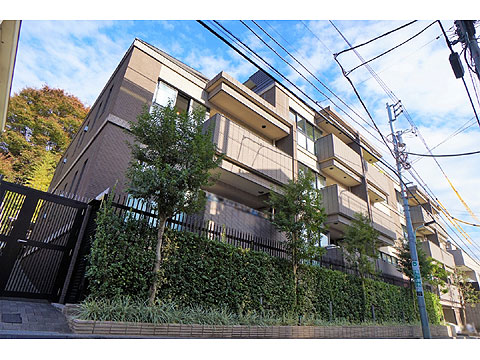 パークナード元麻布の写真 11枚目