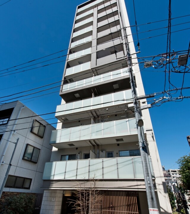 リビオレゾン白金の写真 6枚目