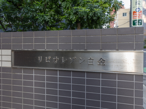 リビオレゾン白金の写真 12枚目