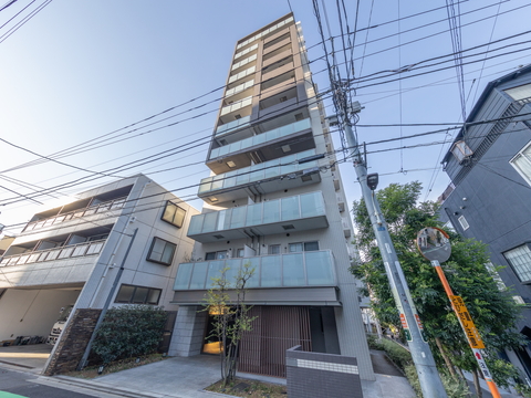 リビオレゾン白金の写真 13枚目