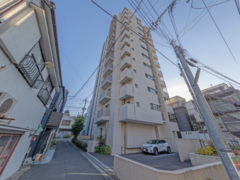 リビオレゾン白金の写真 14枚目