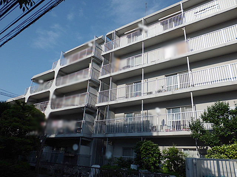 玉川スカイハイツの写真 11枚目