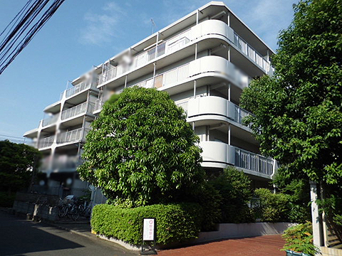 玉川スカイハイツの写真 12枚目