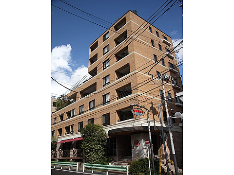 フォリア白金の写真 11枚目