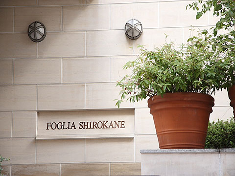 フォリア白金の写真 14枚目