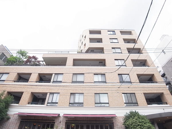 フォリア白金の写真 6枚目