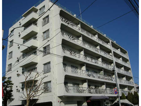 九品仏スカイハイツの写真 11枚目