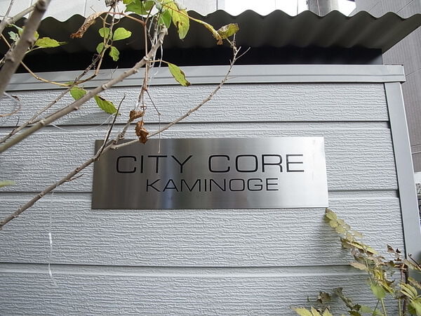 シティコア上野毛の写真 5枚目