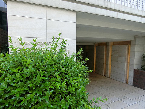 オープンレジデンシア南青山ウエストテラスの写真 12枚目