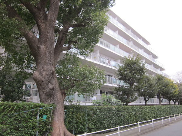 上野毛ハイムの写真 3枚目