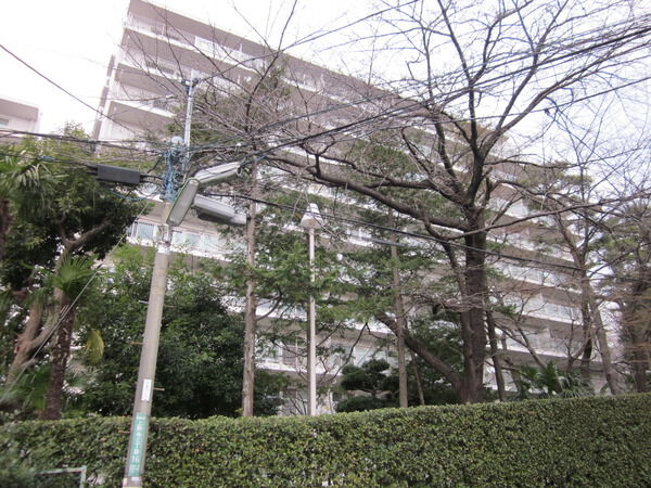 上野毛ハイムの写真 5枚目