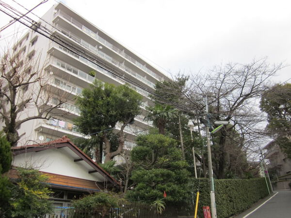 上野毛ハイムの写真 8枚目