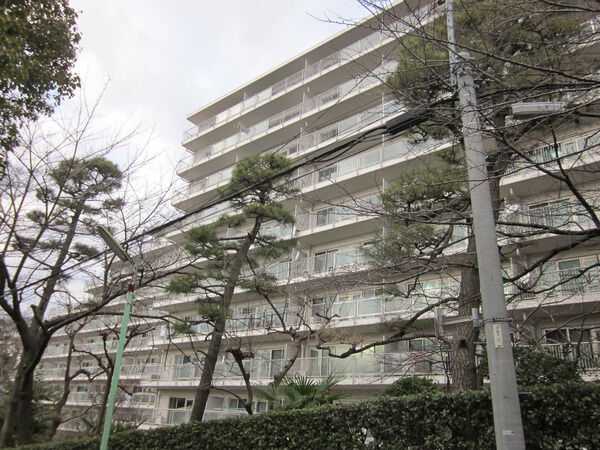 上野毛ハイムの写真 9枚目