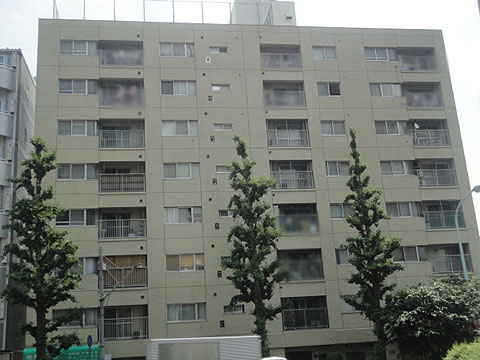 エザンス白山の写真 10枚目