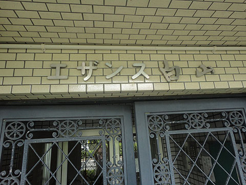 エザンス白山の写真 14枚目