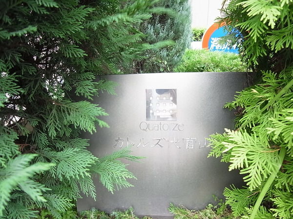 カトルズ代官山の写真 7枚目