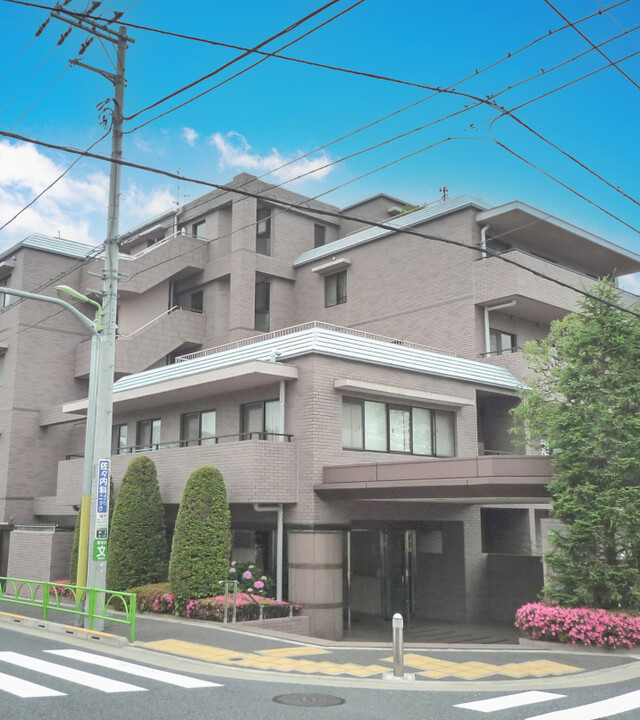 深沢ホームズの写真 5枚目