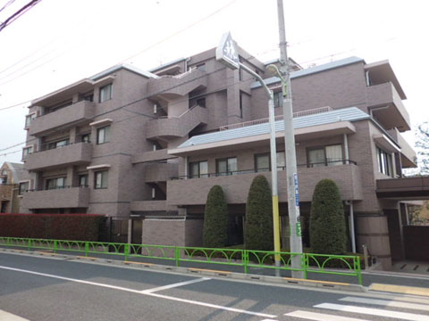 深沢ホームズの写真 10枚目