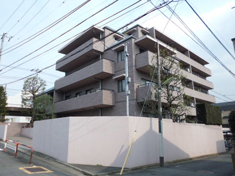 深沢ホームズの写真 13枚目