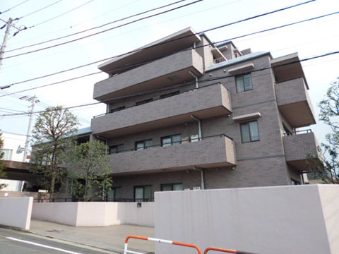 深沢ホームズの写真 14枚目