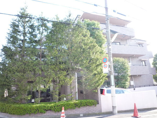 深沢ホームズの写真 8枚目