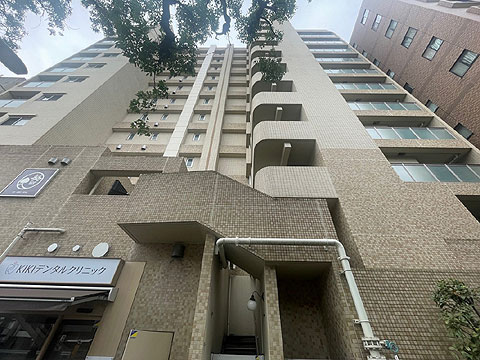 リビオ文京関口シティクロスの写真 10枚目