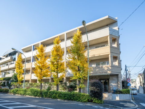 深沢ヒルズの写真 13枚目