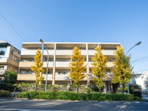 深沢ヒルズの写真 14枚目