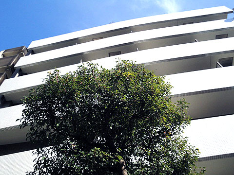 クレアール赤坂の写真 19枚目