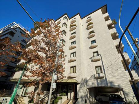 クラウン青山の写真 11枚目