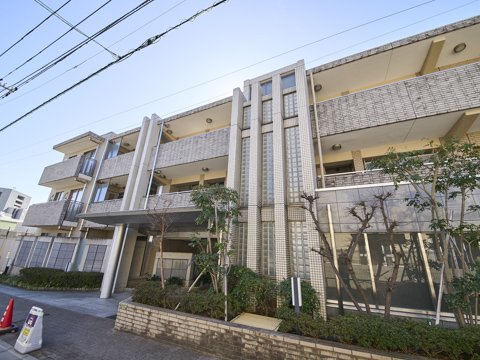 ヒルズ目白坂の写真 12枚目