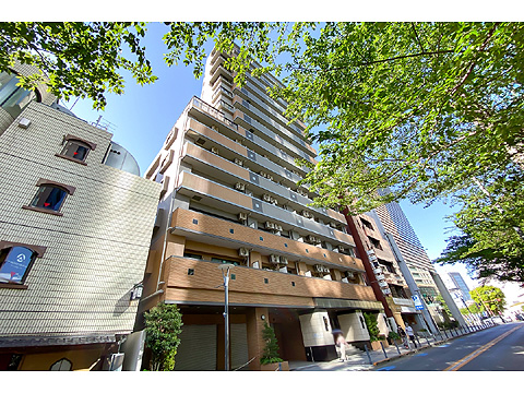 藤和六本木ホームズの写真 10枚目