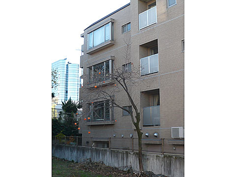 神宮前シティハウスの写真 15枚目