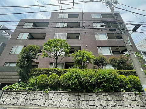 フォルム南麻布の写真 12枚目