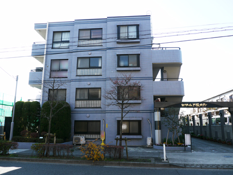 セザール上野毛ガーデンの写真 11枚目