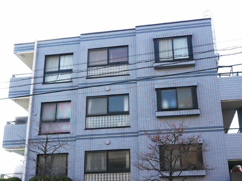 セザール上野毛ガーデンの写真 12枚目