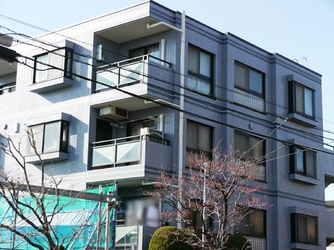 セザール上野毛ガーデンの写真 14枚目