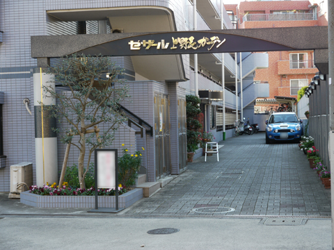 セザール上野毛ガーデンの写真 18枚目