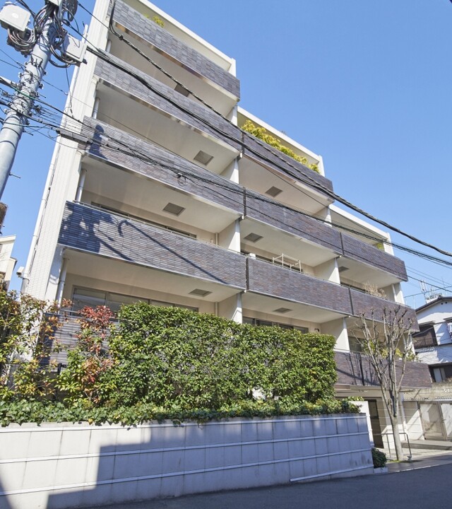 スタイルハウス南麻布の写真 8枚目