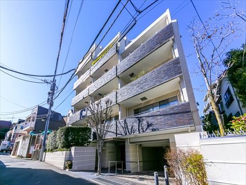 スタイルハウス南麻布の写真 11枚目