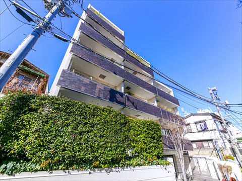 スタイルハウス南麻布の写真 12枚目