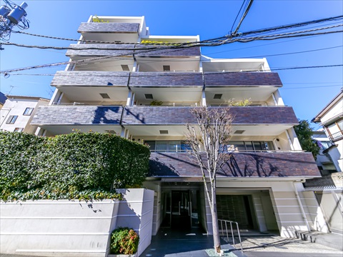 スタイルハウス南麻布の写真 13枚目