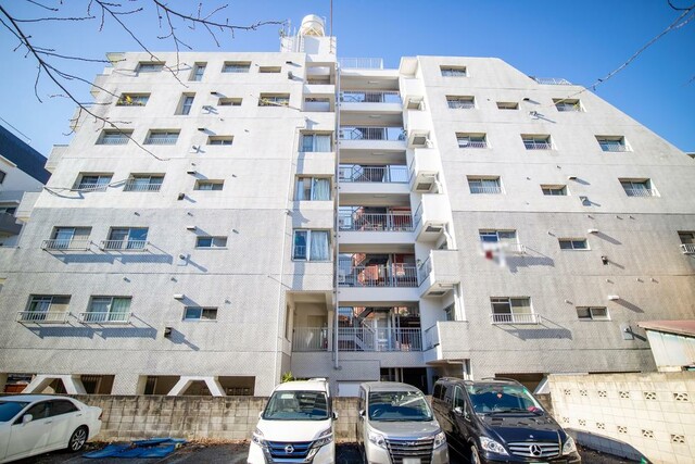 ダイアパレス白山の写真 3枚目